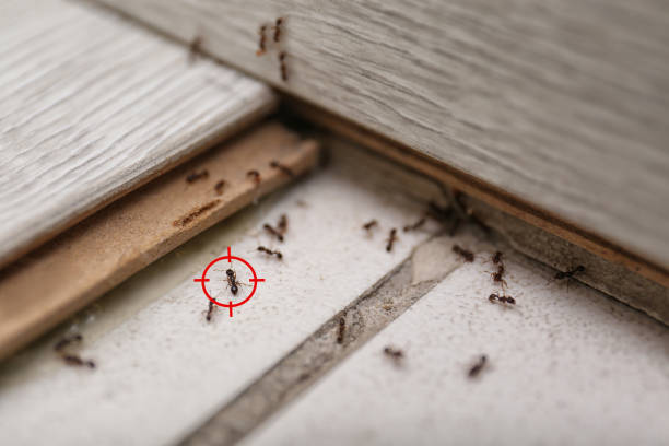 Best Pest Removal Services  in Dearborn, MI