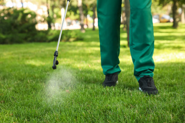 Best Rat Extermination Near Me  in Dearborn, MI