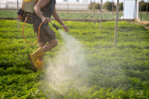 Best Ant Control Services  in Dearborn, MI