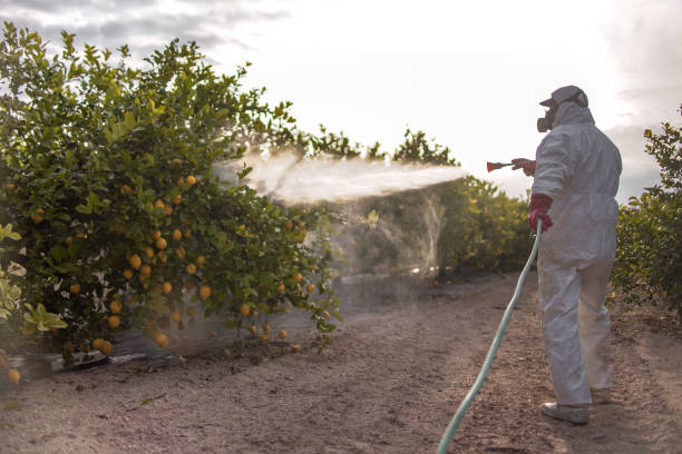 Best Bed Bug Extermination  in Dearborn, MI