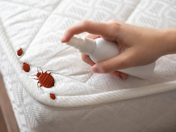 Best Pest Control Near Me in Dearborn, MI