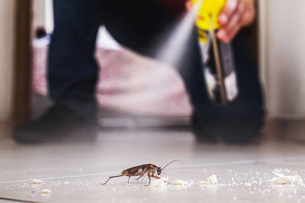 Best Pest Prevention Services  in Dearborn, MI